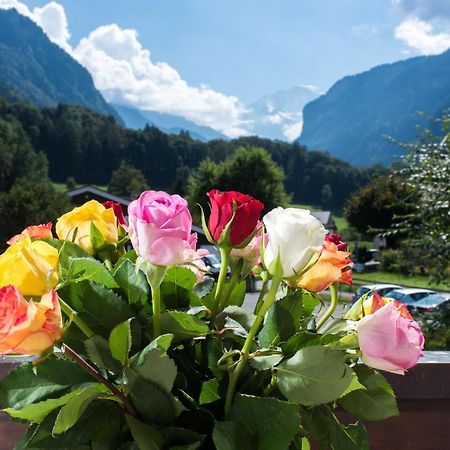 Jungfrau Hotel Annex Alpine-Inn Wilderswil Luaran gambar